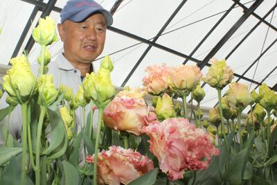 富士薬品、長野県中野市と健康増進で包括連携！地域活性化へ貢献する5つの取り組みとは？