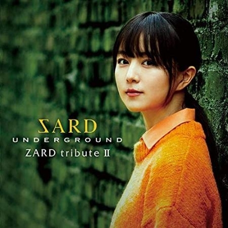 SARD UNDERGROUND 会報誌Vol.2〜7／CD未開封3枚ほかセット CNTS2020112500062_M.jpg