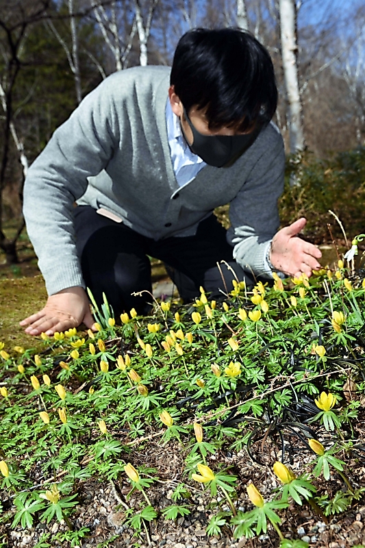 茅野のバラクラ 春の花楽しんで 入園料 月内無料に 信毎web 信濃毎日新聞