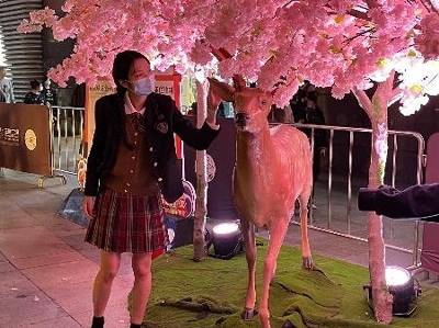 中国で流行する日本の女子高校生ファッション 信濃毎日新聞デジタル 信州 長野県のニュースサイト