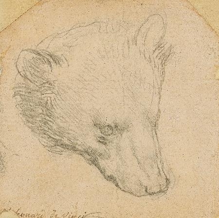 熊達の生命の印象　1/5　　限定5部　絵画　版画 熊達の生命の印象 1/5 限定5部 絵画 版画