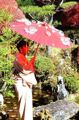 水引まとう 華やか「阿島傘」 喬木村の協力隊員が制作｜信濃毎日新聞