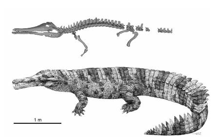 CNTS2022030900370_M.jpg