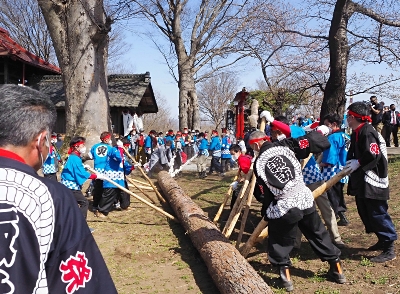 佐久の今岡諏訪神社で御柱祭 にぎやかに建て御柱｜信濃毎日新聞