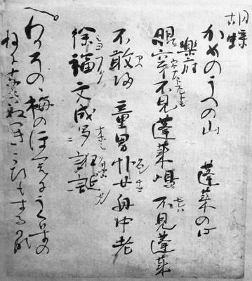 藤原定家の自筆書の一部発見 源氏物語を注釈、国宝の欠損部｜信濃毎日