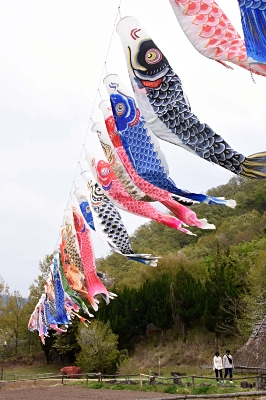 千曲の公園 こいのぼり103匹泳ぐ｜信濃毎日新聞デジタル 信州・長野