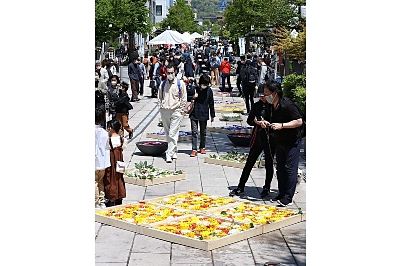 御開帳の街 にぎわう長野 善光寺花回廊と獅子舞フェス 信濃毎日新聞デジタル