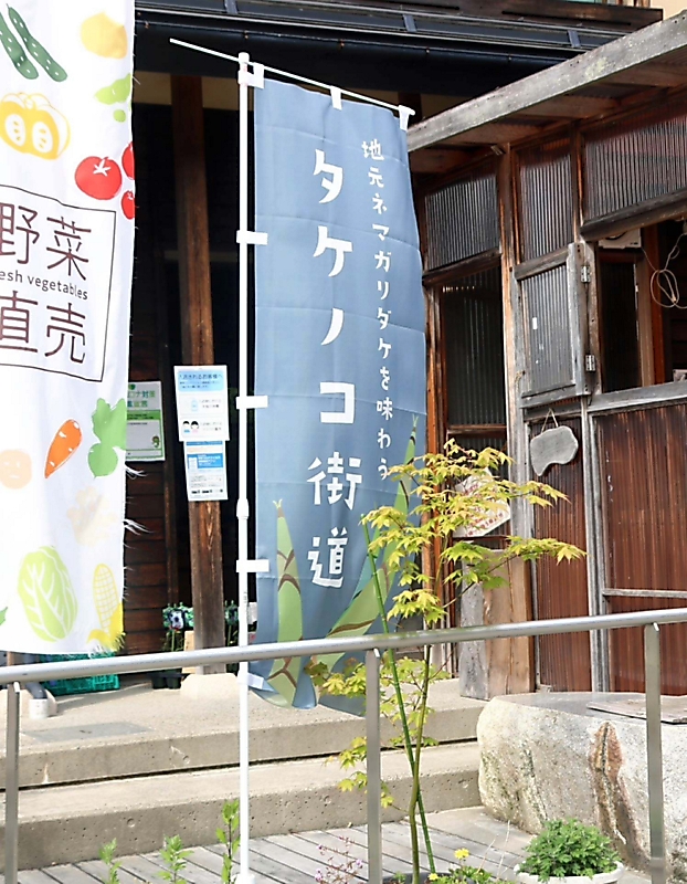 ネマガリダケ 高山村の飲食店で楽しんで 「タケノコ街道」と銘打ちPR