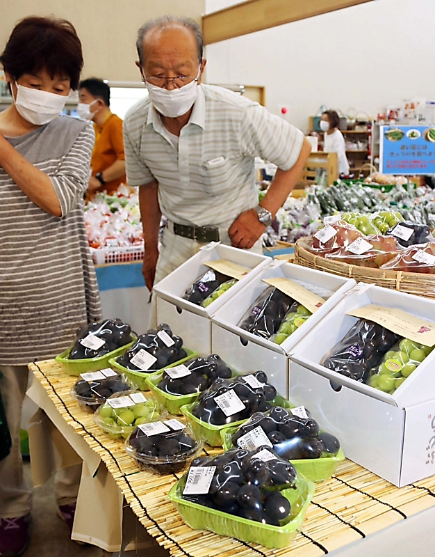 地元特産のブドウずらり、生坂村の道の駅で今季初入荷｜信濃毎日新聞