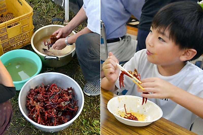 アメリカザリガニ、おいしい？ 駆除後に子どもたちらが試食 東御市｜信濃毎日新聞デジタル 信州・長野県のニュースサイト