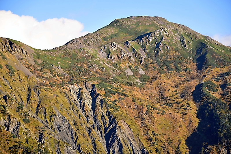 秋の南アルプス聖岳 山腹は紅葉のじゅうたん 写真が複数あります 信濃毎日新聞デジタル 信州 長野県のニュースサイト