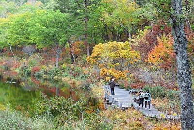 紅葉真っ盛り 水面も彩る志賀高原 山ノ内町 信濃毎日新聞デジタル 信州 長野県のニュースサイト 紅葉真っ盛り 水面も彩る志賀高原 山ノ内町 信濃毎日新聞デジタル 信州 長野県のニュースサイト