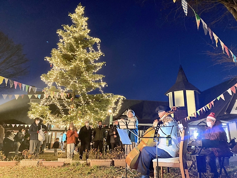 モミの木などに電飾4000個のイルミネーション 伊那市長谷の道の駅
