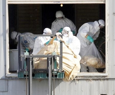 愛知・豊橋で鳥インフルの疑い 31万羽を飼育の養鶏場｜信濃毎日新聞