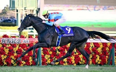 イクイノックス　鬣　たてがみ　2022 日本ダービー　C・ルメール騎手直筆サイン イクイノックス 鬣 たてがみ 2022有馬記念優勝 C・ルメール騎手