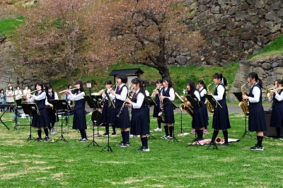 上田市の10中学校吹奏楽部、4年ぶり一堂に 上田城の「千本桜まつり