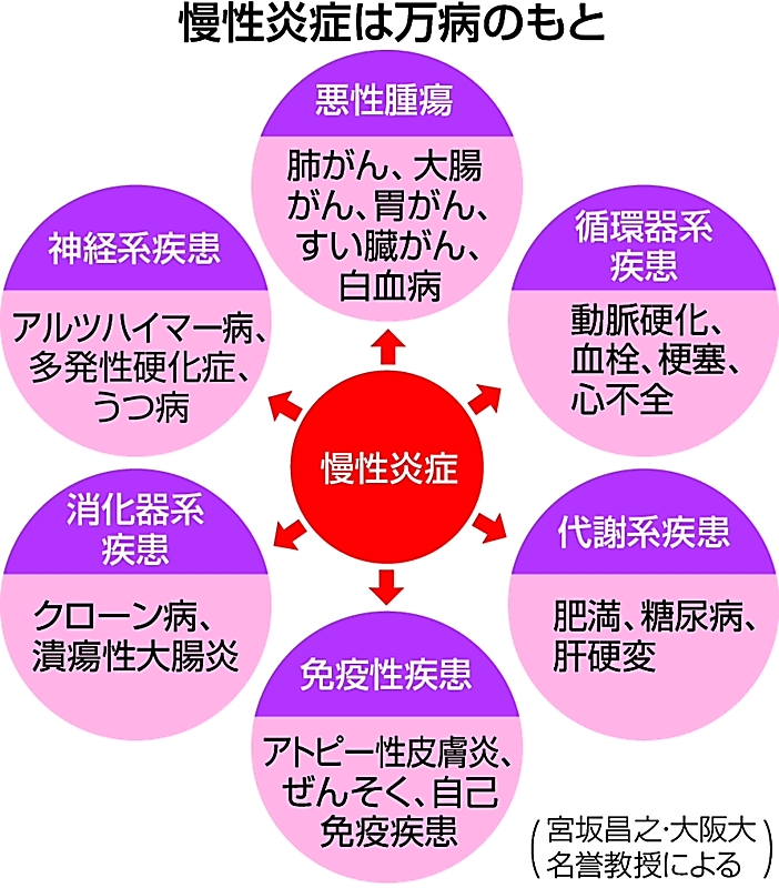 急性炎症と慢性炎症の比較: 急性炎症と比較して慢性炎症に特徴的な所見はどれか 2 つ選べ – GZIBT