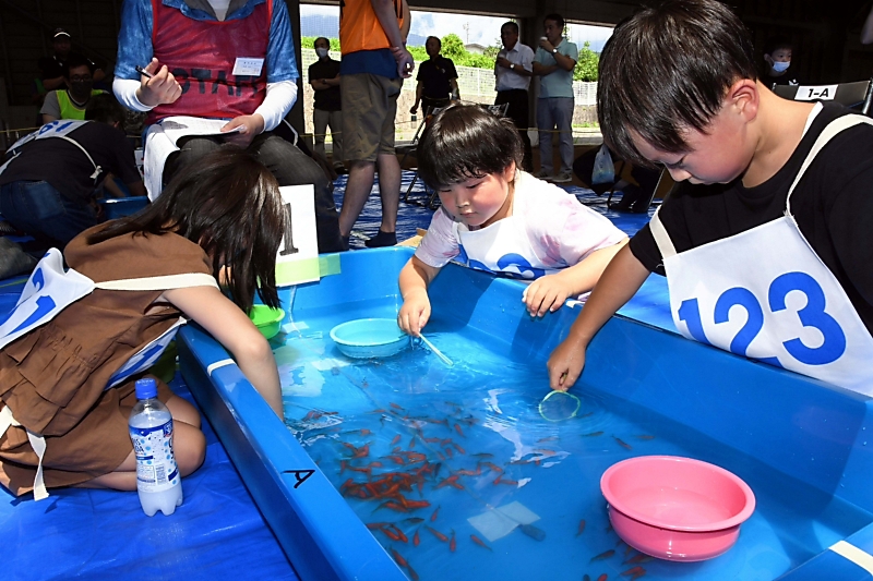 金魚すくい　小学生 