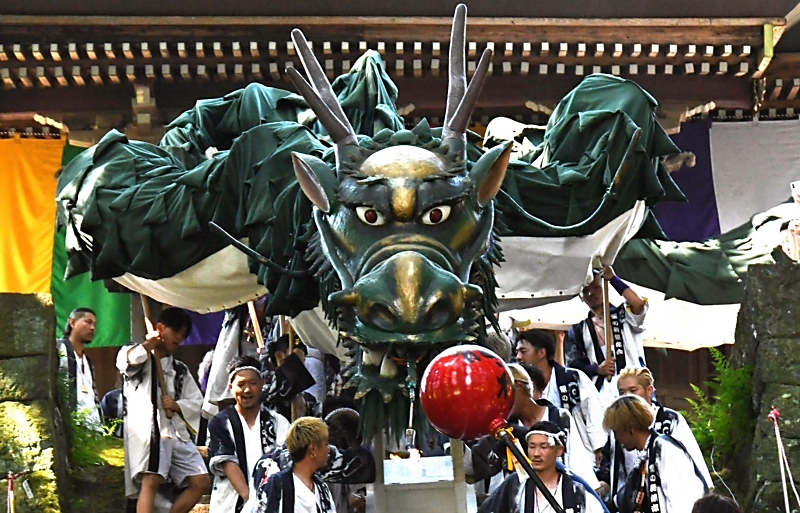 全長45メートル「龍神」の舞、観客を魅了 御代田町「龍神まつり