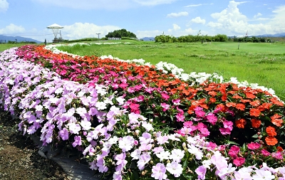マイセン　2匹のパンダ　高さ19cm トカサ　東ゆ7-0317⭐︎2F マイセン 2匹のパンダ 高さ19cm トカサ 東ゆ7-0317⭐︎2F マイセン 2匹