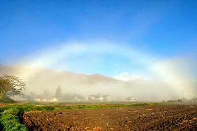早朝の白馬村､霧の中から白い虹 長野市の53歳撮影｜信濃毎日新聞