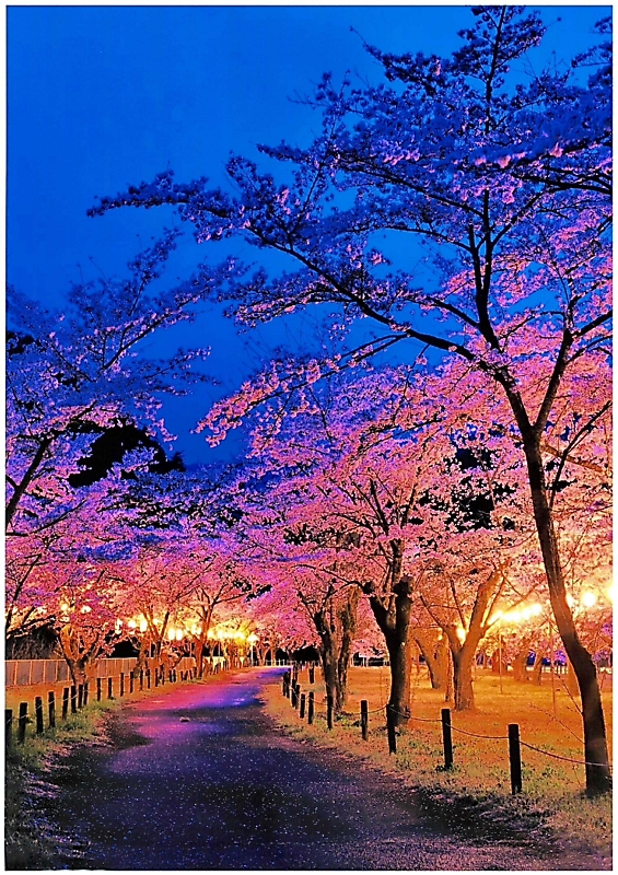 天龍村の四季を捉えた力作､カレンダーに フォトコンテスト入賞作品