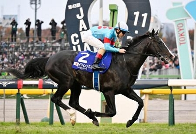 イクイノックスがG1で6連勝 競馬のジャパンカップ｜信濃毎日