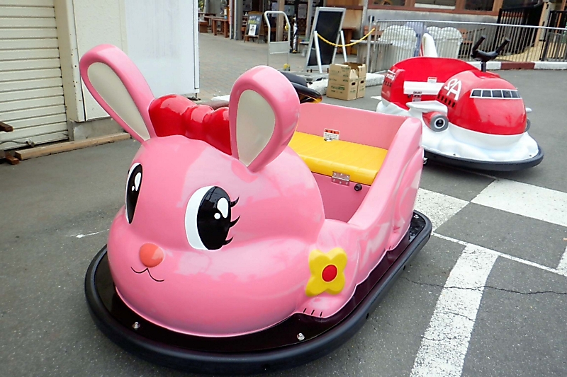 ウサギと飛行機が「当選」 飯田市立動物園のバッテリーカー 17日