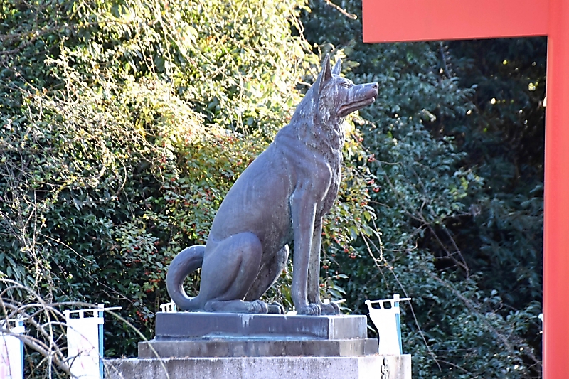 早太郎（悉平太郎）伝説㊤駒ケ根と磐田、結ぶ縁 【足を延ばして、静岡