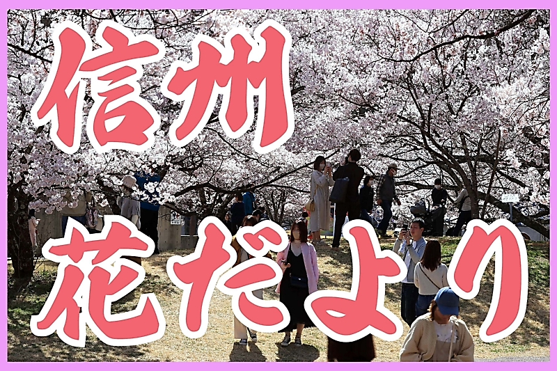 中古】 花めぐり 信州の名所230/信濃毎日新聞社/信濃毎日新聞社