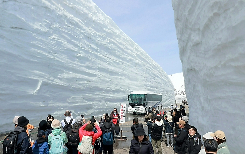 動画付き】訪日客も驚く雪の回廊、雪壁の高さは例年並み 大町市と富山