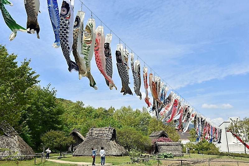 鯉のぼり こいのぼり 4.0メートル 鯉のぼり こいのぼり 4.0メートル 楽天市場】鯉のぼり 4mの通販