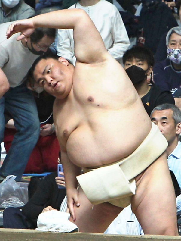 出走準備中 ダーラナホース 相撲 反物 大の里 寺尾 伊勢ヶ濱部屋 幸せ