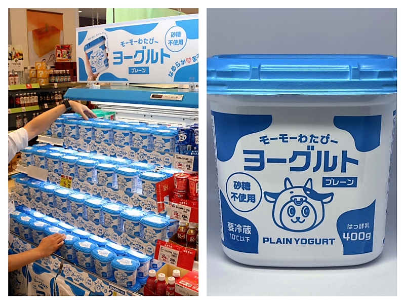 モーモーわたぴーヨーグルト」が売れ行き好調 400gで128円の安さ 