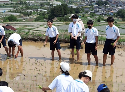 善光寺平を見渡す棚田で田植え 東京の中学生「気持ちいい」 千曲市