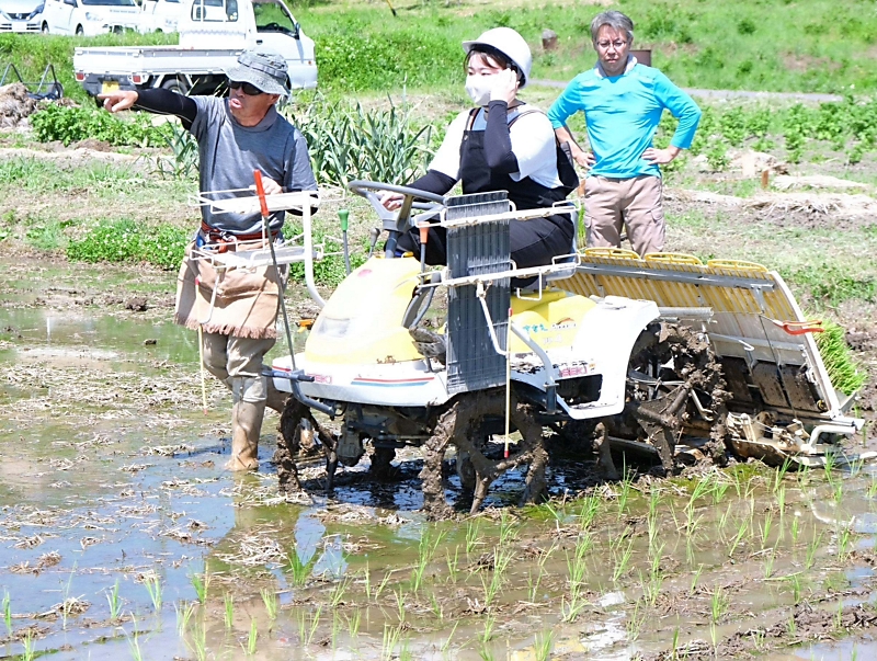 半田ごて大量70本以上 半田ごて大量70本以上 ビッグマン はんだごてセット セット はんだ