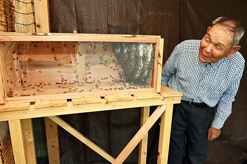 蜂蜜を食べ比べ、巣も食べられる 観光客回復へ中川村の86歳が経営