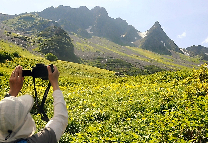 山とお花畑〈第1巻〉北アルプス編―原色写真でみる高山植物 (1961年) きれいですね。ただ…」 北アルプスの涸沢 お花畑を登山者が満喫｜信濃
