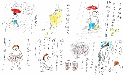 よりこ様 きつ