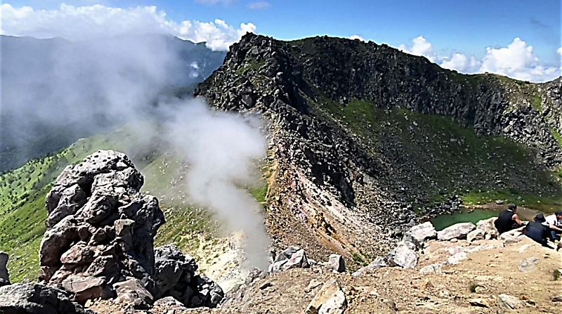 山野草　北岳固有種　北岳草　6号鉢B火山礫植え 山野草 北岳固有種 北岳草 6号鉢B火山礫植え 山野草 北岳固有種 北岳草