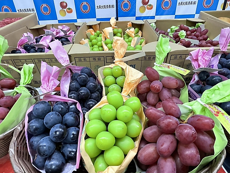 信州産の「ぶどう三姉妹」「りんご三兄弟」、大阪でトップセールス