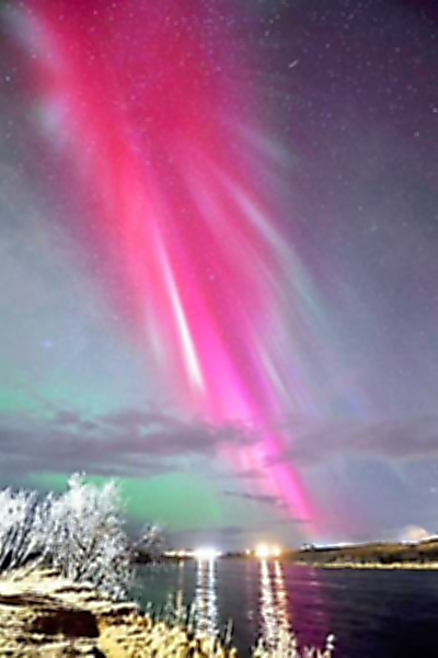 7/10 写真更新　　ビカクシダ　aurora ウィリンキー　オーロラ 極北の一日：オーロラ鑑賞ツアー｜深夜 2025 - ホワイトホース