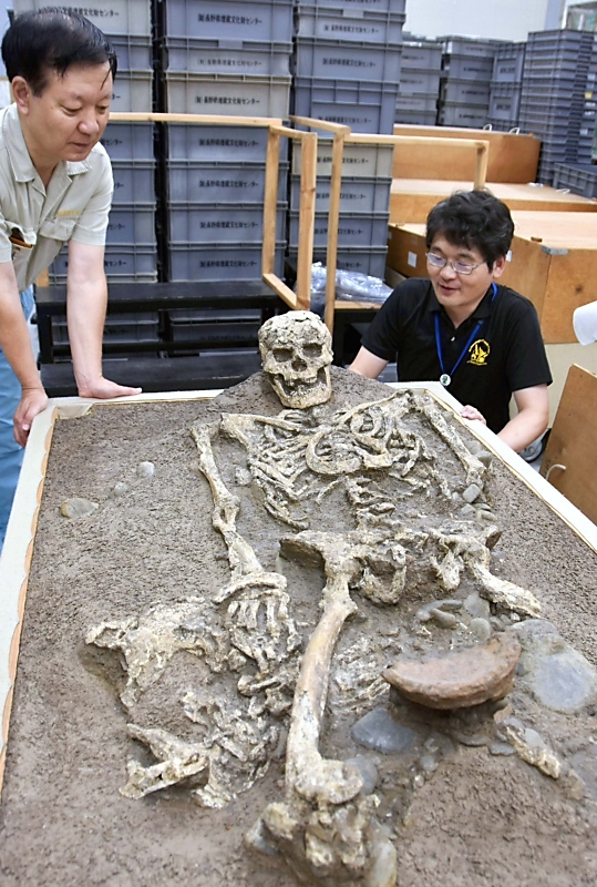 縄文人骨・縄文時代後期 良好な状態 安曇野で発掘 〈時を刻む所蔵品