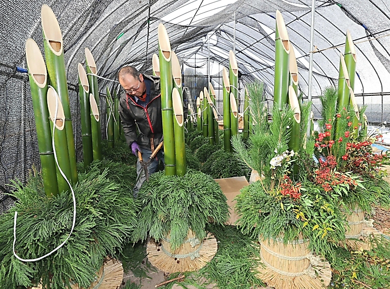 今年も残り1週間 正月用の門松作りが最盛期 長野市｜信濃毎日新聞
