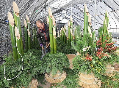 門松 ハンドメイド 世界で一点物 無農薬 全て自然素材 1対2個 大きめ -