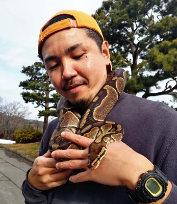 ペピ Sunset ♂ sold ♂あと残り1本です🌇 . . . #ボールパイソン #サン