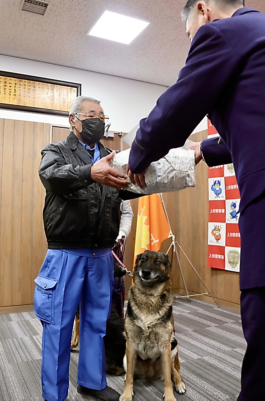 人間では「80歳超」、でも現役です シェパードのレミ、9期目の警察犬に
