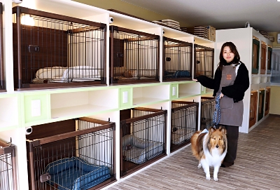 ひるさん専用 昼のライトとゆっくり走行 ―減らせ ひるさん専用 昼のライトとゆっくり走行 ―減らせ