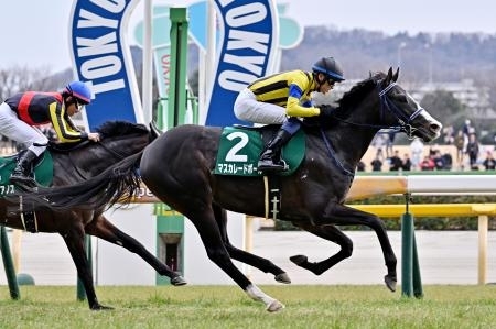 マスカレードボールが優勝 競馬の共同通信杯｜信濃毎日新聞デジタル
