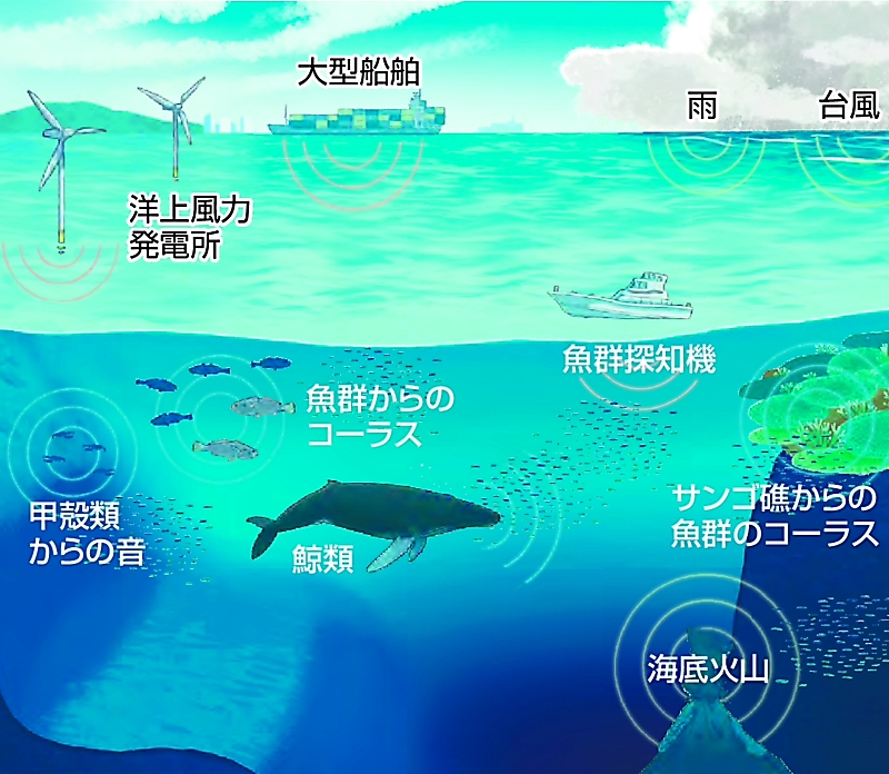 SEA-ON 三線本体 黒色 海音　※説明読んでください。 SEA-ON 三線本体 黒色 海音 ※説明読んでください。 海を見たときに